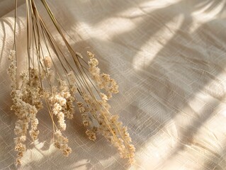 Boho dried flowers , on a beige background on a textile material ,