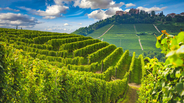 View of hills and vineyards surrounding Barolo in the Langhe region. Cuneo Province, Piedmont, Italy.