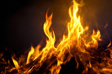 Fototapeta premium A burning fire against a black background.