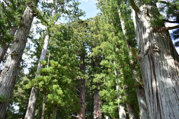 福島県　諏訪神社　福島県の名所
