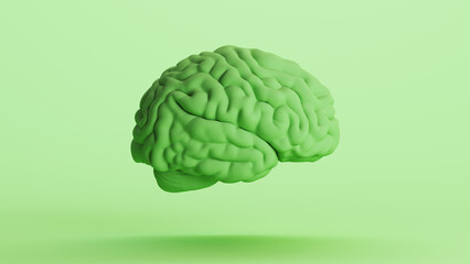 Human brain anatomy organ intelligence neurology think mind green soft tones right view 3d illustration render digital rendering	