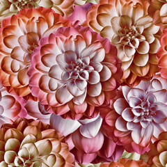 Seamless floral spring background. Dahlias flowers and petals. Close-up. Nature.