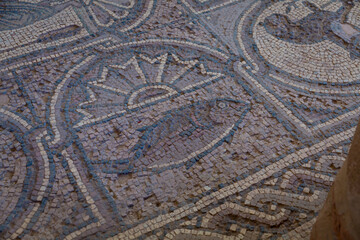 A moisaic detail in the Byzantine Church in the archeological site of Petra in Jordan