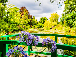 Impressive view of Monet's garden with japanese bridge in foreground, Giverny, France
