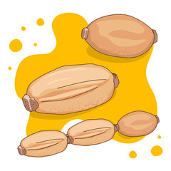 Isolated Lotus roots, whole part of lotus roots or lotus bulb, hand drawing vector illustration, uncool, food ingredient, healthy diet, Anime food and vegetables hand drawing.