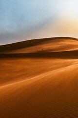 Fototapeta na wymiar Sunset in the Sahara Desert