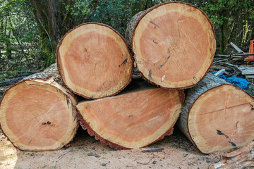 Lumber stack waiting to be processed.