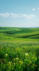 b'Vast green rolling hills under blue sky with white clouds'