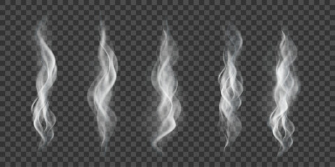 Wavy white smoke effect, vector realistic set