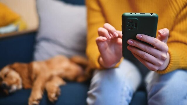 Close-up of unrecognizable woman using phone while sitting on sofa with sleeping pet indoors