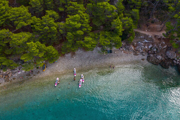 Aerial drone view . Beautiful coastline. The shore is covered with pine trees. Tourists ride on swimming boards, SUP. top view. Croatia. Makarska Riviera