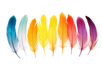 Rainbow Feathers Dance on White Canvas. On a White or Clear Surface PNG Transparent Background.