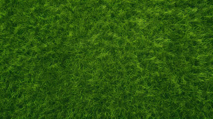 3D rendering of grass texture