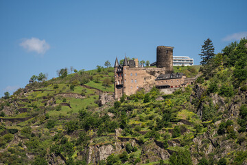 Burg Katz im Mittelrheintal mit Patersberg, April 2024
