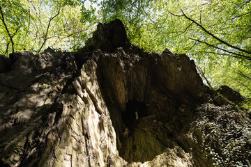 Pulsbachklamm zwischen Kestert und Sankt Goarshausen, April 2024