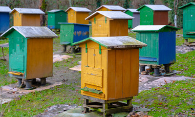 Traditional apiary in the forest. Raws of wooden, colorful bee hives. Beehive in bee-garden. Nest...
