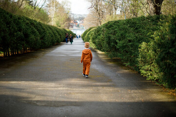 The boy is walking in the park where there are many green spaces. Ecology and environment