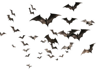 Midnight Symphony: A Harmonious Blur of Bats Dancing in the Night Sky. On a White or Clear Surface PNG Transparent Background.