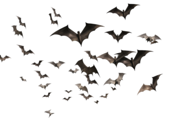 Midnight Symphony: A Harmonious Blur of Bats Dancing in the Night Sky. On a White or Clear Surface PNG Transparent Background.