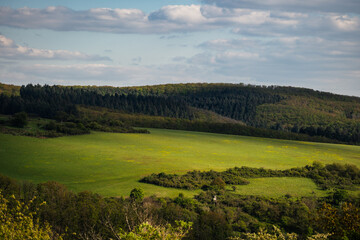 Blick vom Hardungsberg auf die Kauber Platte, April 2024