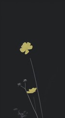 Yellow wildflower plant black tranquility.