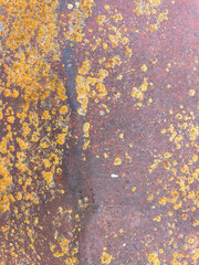 Corten steel textures. Background rust texture