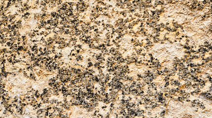 Old Wall Surface Abstract Textured Background Design