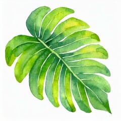 Namalowany zielony liść - obrazy, fototapety, plakaty
