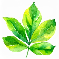 Zielony namalowany liść gałązka - obrazy, fototapety, plakaty