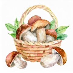 Wiklinowy koszyk grzybów rysunek