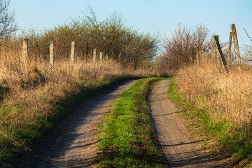Country dirt road with grass, trees and concrete pillars on the side. Spring sunny day