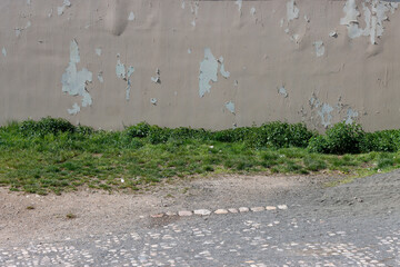 concrete wall and grass