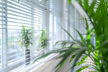 Clean bright office space with green plants and large windows. Concept Office Decor, Bright Workspace, Green Plants, Large Windows