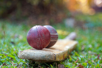 Red cricket ball and cricket bat on grass. Soft and selective focus.