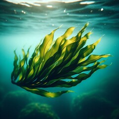 Fototapeta na wymiar Exploring the Enigmatic World of Kelp Forests: A Marine Oasis of Biodiversity