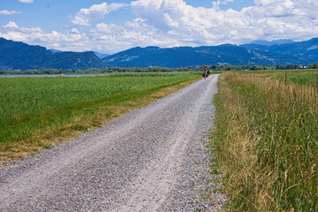 Fototapeta na wymiar cycle path along Lake Constance near Bregenz (Austria)
