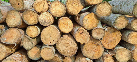 pile of natural wooden logs	
