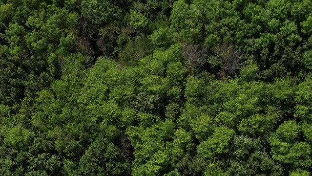 coastal aerial video, Yalikoy, Istanbul, jk01