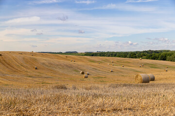 straw stacks in the field after the grain harvest
