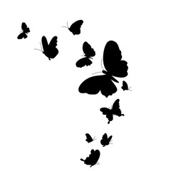 Flock of silhouette butterflies
