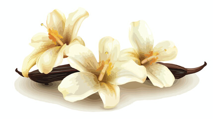 Fototapeta na wymiar Aromatic vanilla flowers on white background Vectot s