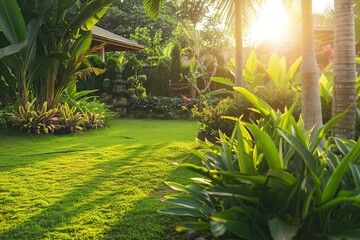 garden with palm trees and sun