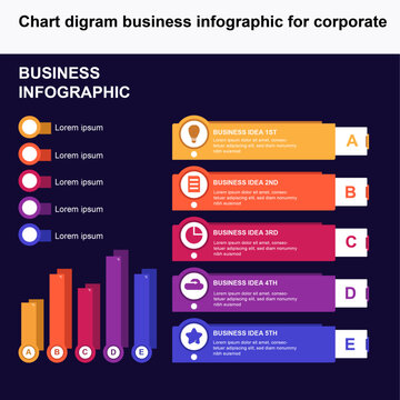 chart digram business infographic