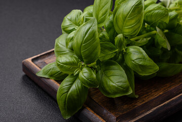 Fresh herbs basil in the form of a bush as an ingredient for cooking at home