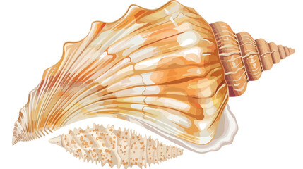 Beautiful sea shell on white background Vectot style