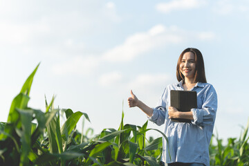 Farmers are inspecting conditions and collect crop data to be analyzed. Farmer woman examining corn...
