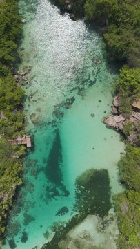 Weekuri Lagoon, Sumba island, Indonesia. A beautiful blue lake with a green forest in the background. The water is calm and clear, and the trees are lush and green