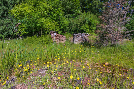 Meadow with wildflowers and a old house ruin