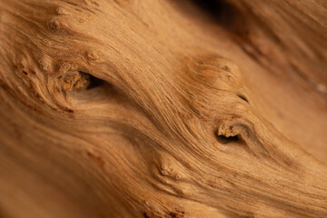 macro texture of untreated wood