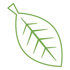 Obraz premium leaf 